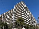 セソール川崎京町ハイライズフォースピアの間取り画像