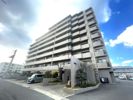 サーパス昭和町の間取り画像