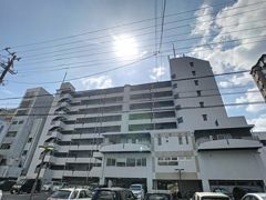 サルヴァトーレ大橋の外観画像