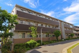 ﾛｲｼﾞｪﾝﾄﾊﾟｰｸｽ ﾚｲｸﾀｳﾝ Cの外観画像