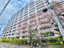 Brillia品川中延の間取り画像