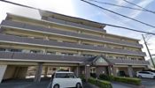 サンフル岡本の間取り画像