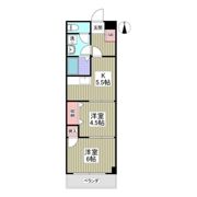 URBAN TERRACE亀有の間取り画像