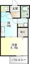 フェリス蛍田の間取り画像