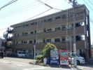 Limpiaリリーの間取り画像