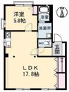 ハイネス深津の間取り画像