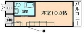 ピアスアパートの間取り画像
