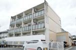 peddy marryⅡの間取り画像