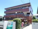 シルエロビスターの外観