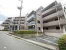 K緑地の外観