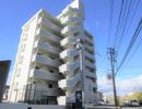 アゼリアコート福沢町の間取り画像
