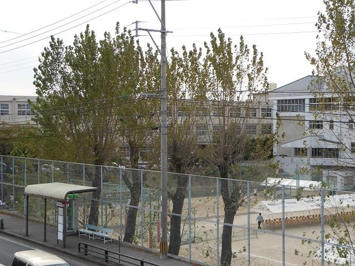 八幡工業高校(332m)