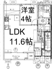 マルヴィナの間取り画像