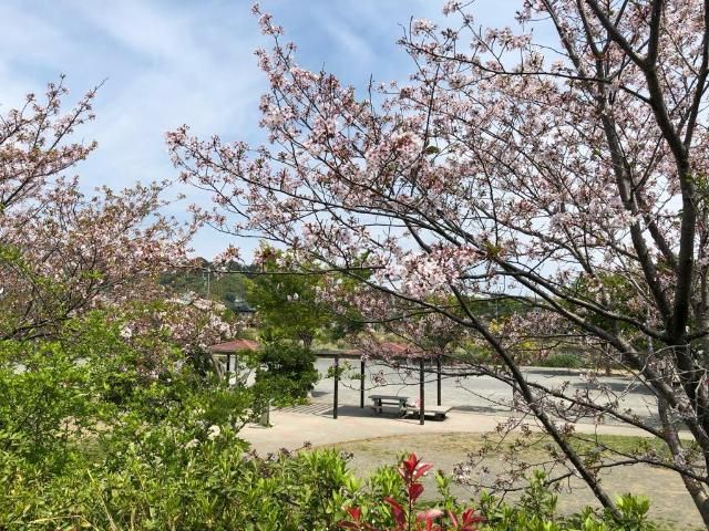 近くに施設あり