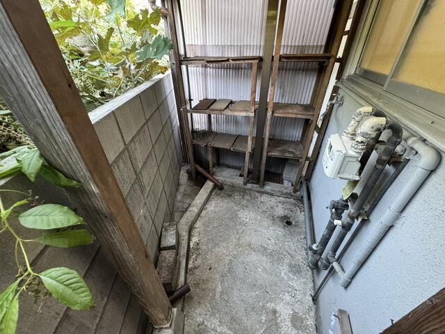 庭