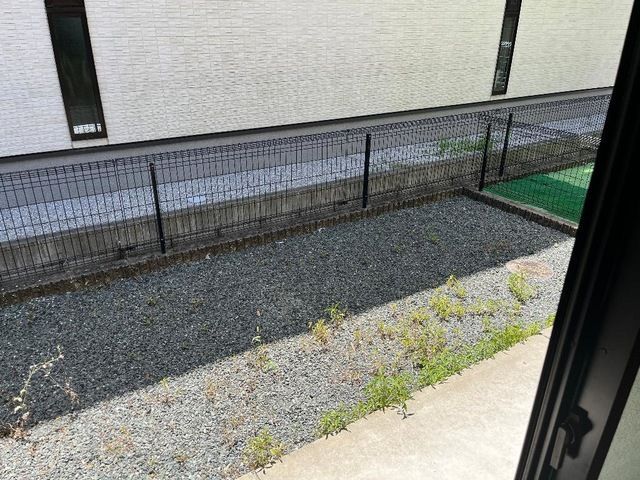 庭