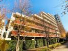 Brillia ist 三軒茶屋 アイビーテラスの間取り画像