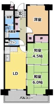 メゾンクリサンテームの間取り画像