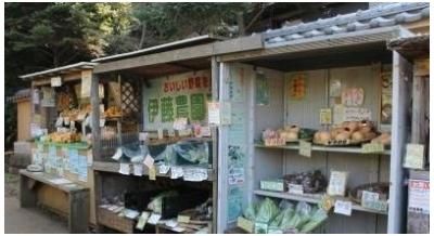伊藤農園直売所まで197m