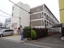 リバー綱島の間取り画像
