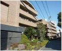 ドミールときわ台の間取り画像