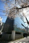 桜ヒルズ九段北の間取り画像