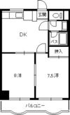 パティオ舟入の間取り画像