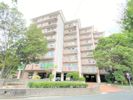 紅梅台ハイツ2号棟 214号室の間取り画像