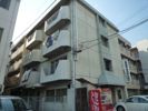 ファビス楠木2の間取り画像