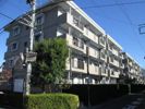 グランコート与野本町の間取り画像