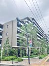 プラウドシティ国立の間取り画像