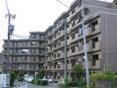 朝日プラザ和合の間取り画像