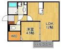 Oasis（オアシス）の間取り画像