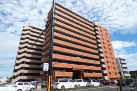 ライオンズマンション岡山南の外観画像