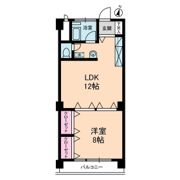 ステラ コート 大山の間取り画像