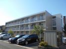 レオパレスアゼリアの間取り画像