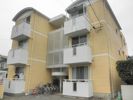パールマンション月出の間取り画像
