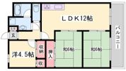 メリヤス岡場の間取り画像