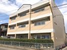 メゾン吉田の間取り画像