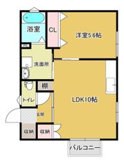 バディー若松の間取り画像