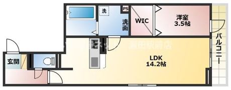 DROOM杉浦の間取り画像