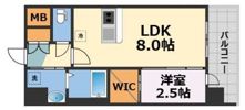 セレニテ南堀江エクラの間取り画像