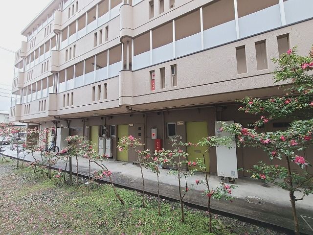 庭