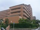 ダイアパレス樟葉の間取り画像