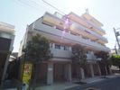 ヴィータローザ新江古田の間取り画像