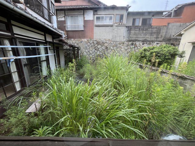 庭