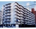 エバーグリーン松山2号館の間取り画像