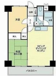 グランドメゾン松島の間取り画像