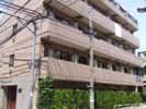 ジュエル文京白山の間取り画像