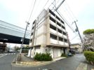 ドムールコスモス魚崎南の間取り画像
